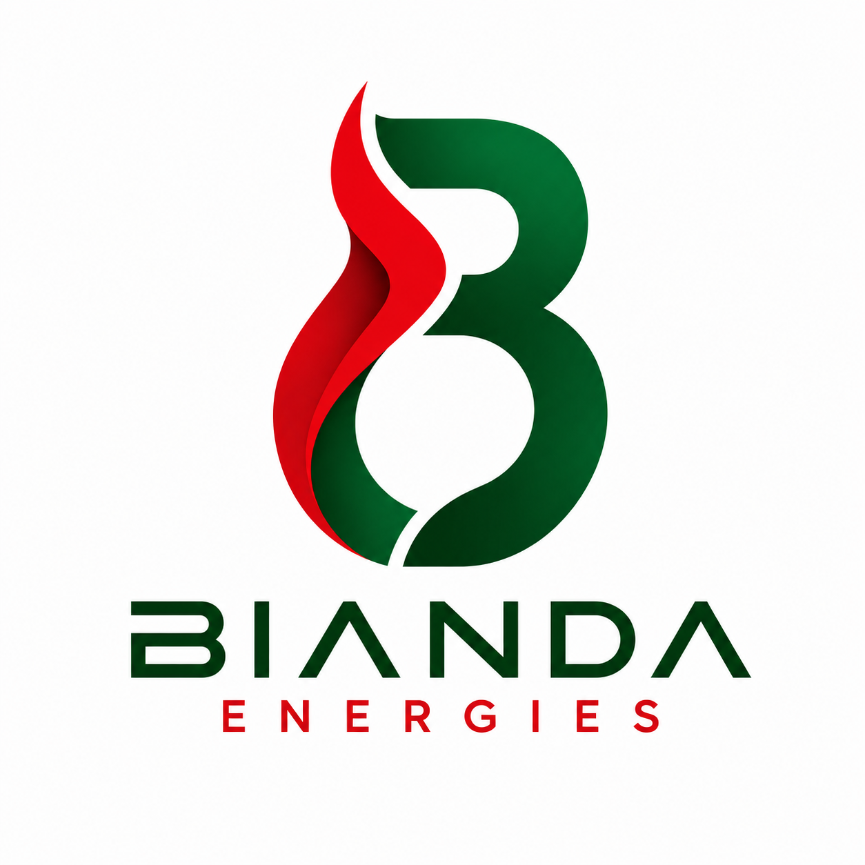 Bianda Energies LLC logo
